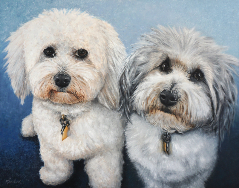 Linnaeus & Svea, Coton de Tulear, 28x35 cm