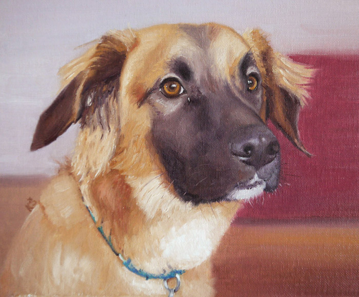 Barney, Shepherd & Basset mix, 20x23 cm