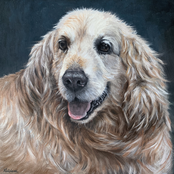 Jeff, Golden retriever, 25x25 cm