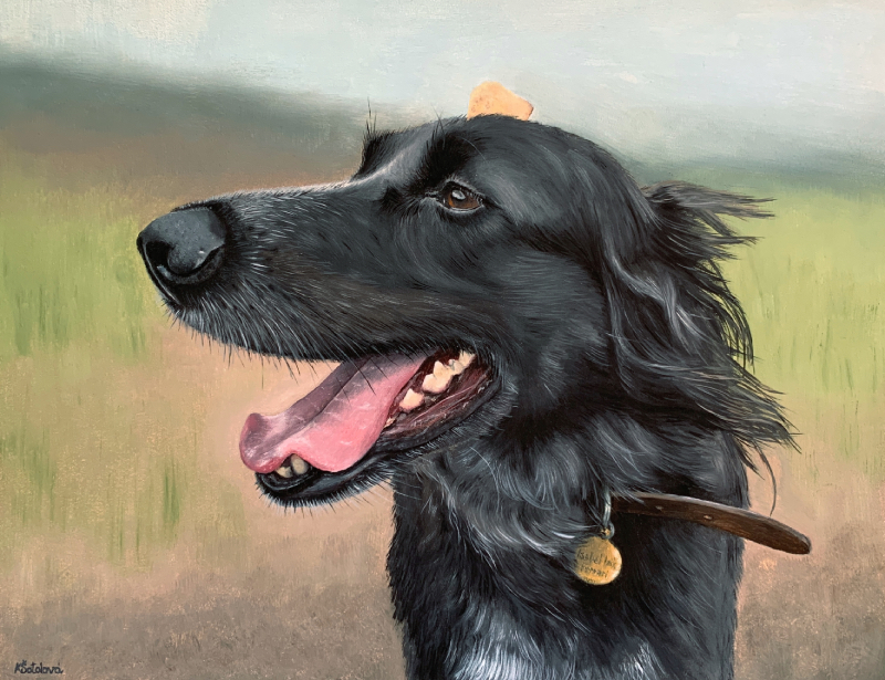 Isabel Isik Ferrari, Sicilian shepherd, 28x35 cm