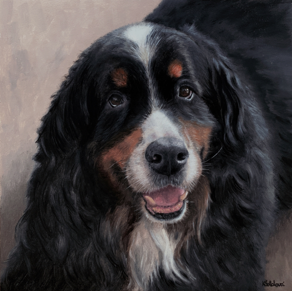Journey, Bernese mountain dog, 23x23 cm