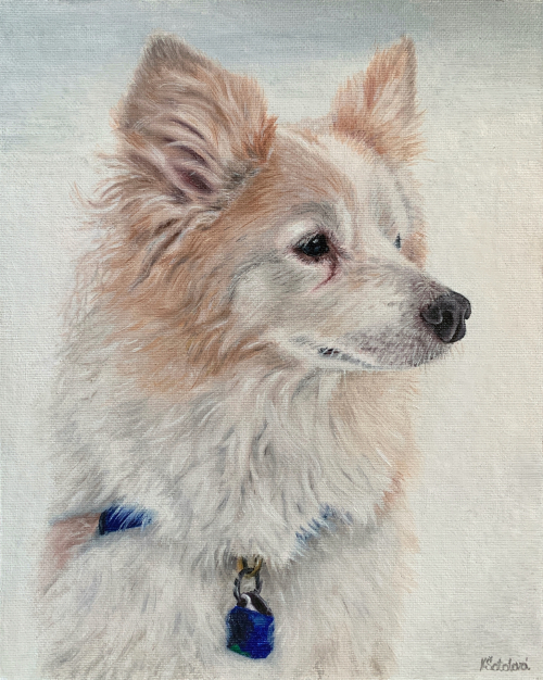 Hiddie, mixed breed, 25x20 cm