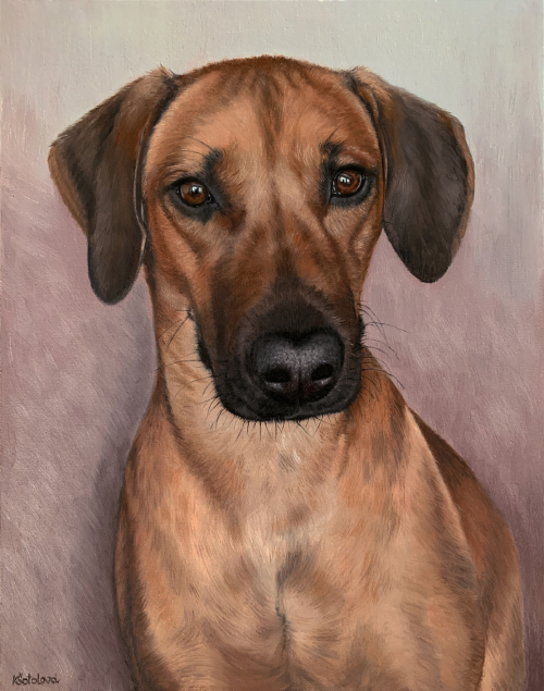 Keyttie, Rhodesian Ridgeback, 33x26 cm