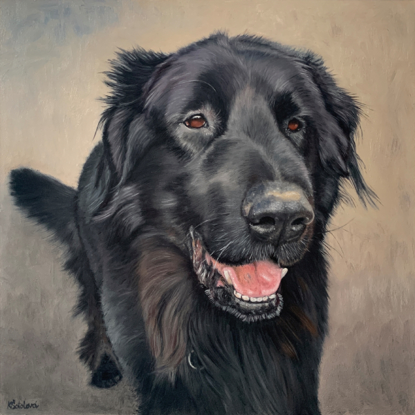 Benži, Hovawart, 30x30 cm